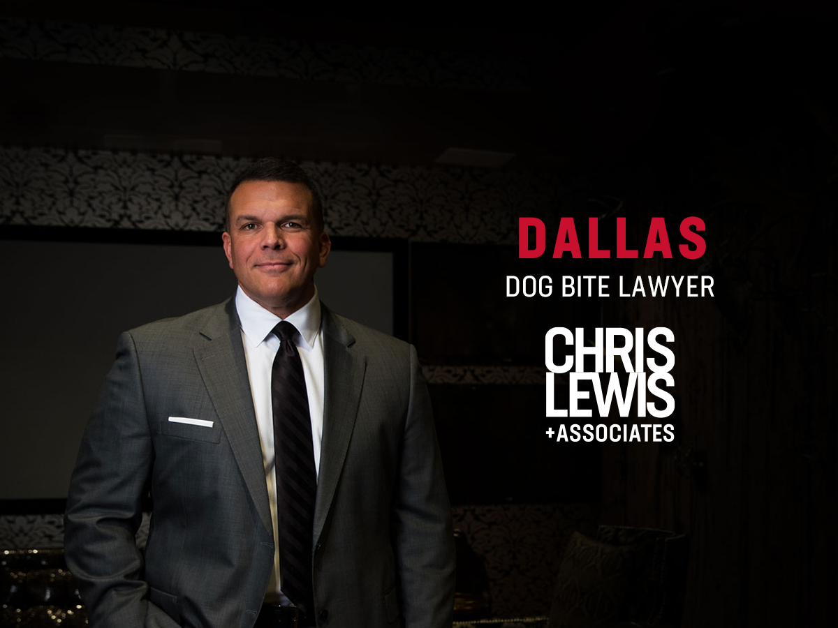 Dallas Dog Bite Lawyer | Chris Lewis & Associates, P.C.